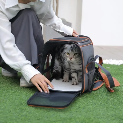 pet carrier bag