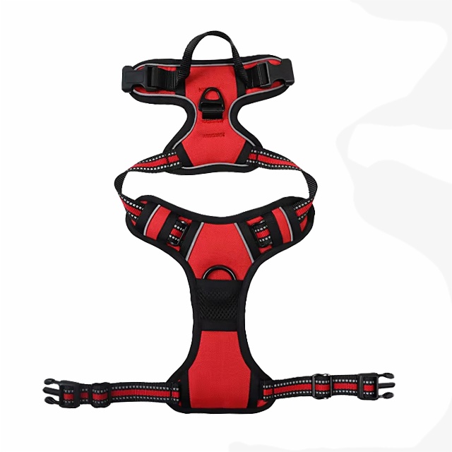 Dog Harness