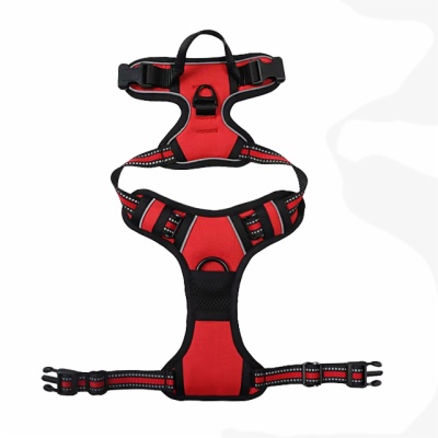 Dog Harness
