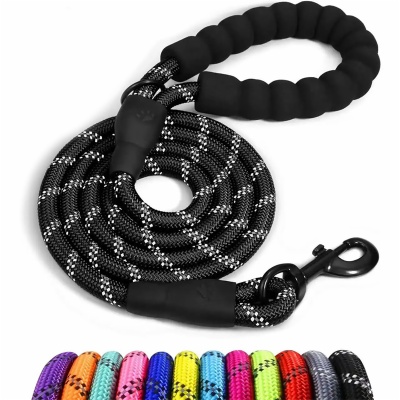 Dog Leash