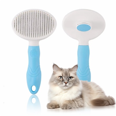 Cat Brush