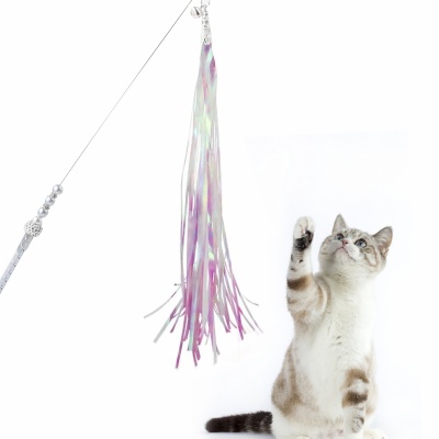 Cat teaser