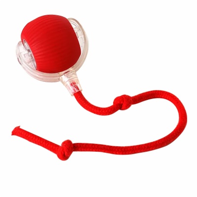 Interactive Cat Toy