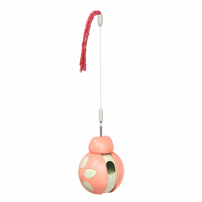 cat interactive toys