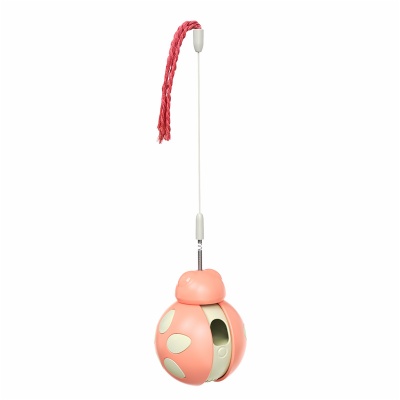 cat interactive toys
