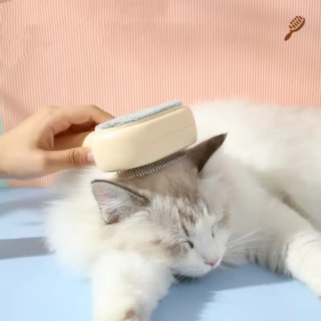 Cat hair Brush