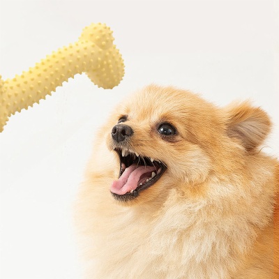 Bone Shape Dog Chew Toys