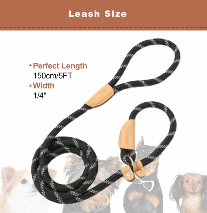 Slip Lead Control Leash