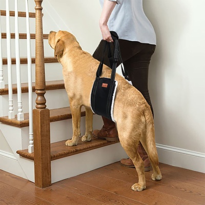 Dog Lift Harness