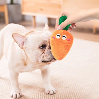 Carrot Pet Toys