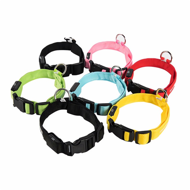 Led Dog Collar