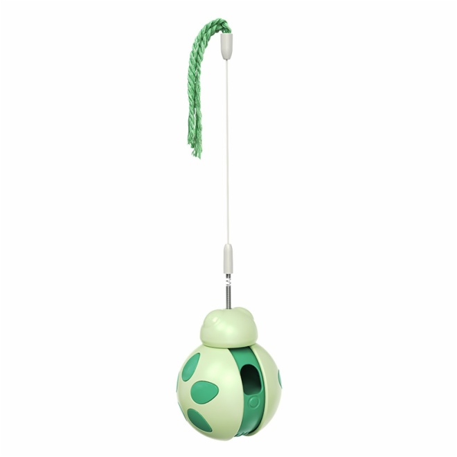 cat interactive toys