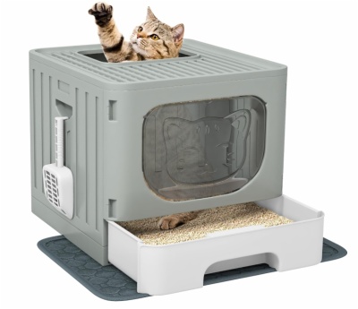 Cat little Box