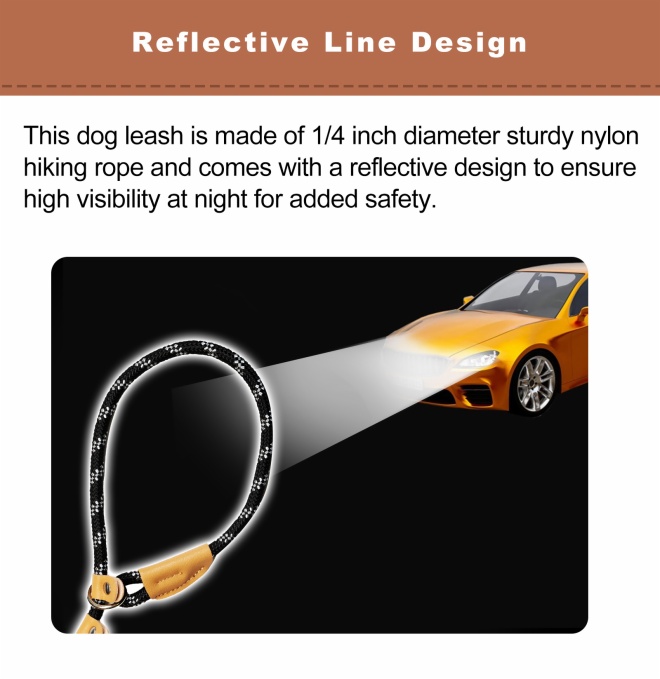 Slip Lead Control Leash