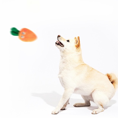 Carrot Pet Toys