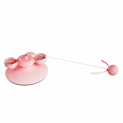 Interactive cat Toys