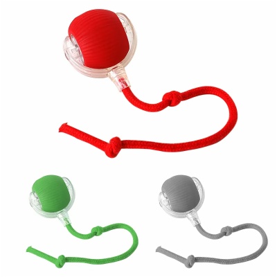 Interactive Cat Toy