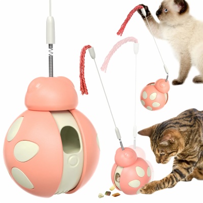 cat interactive toys