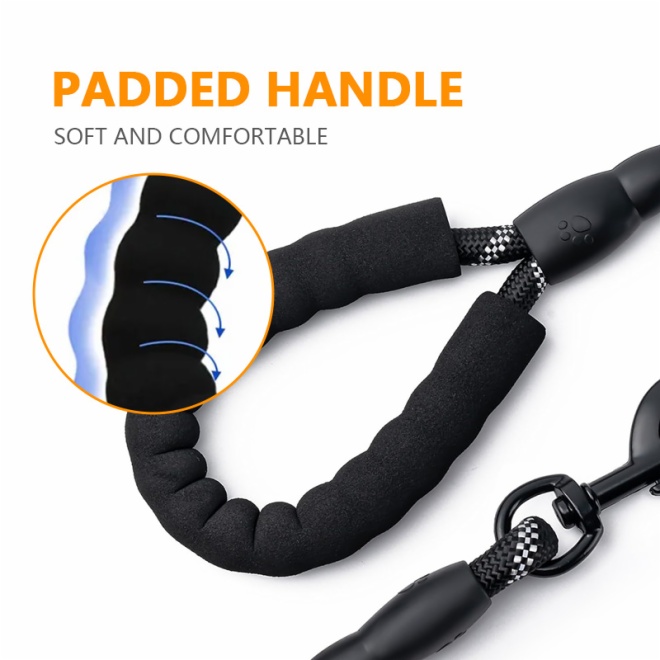 Dog Leash