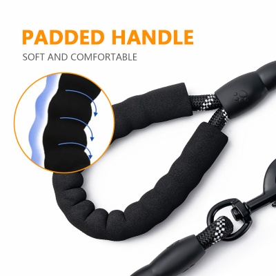 Dog Leash