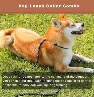 Slip Lead Control Leash