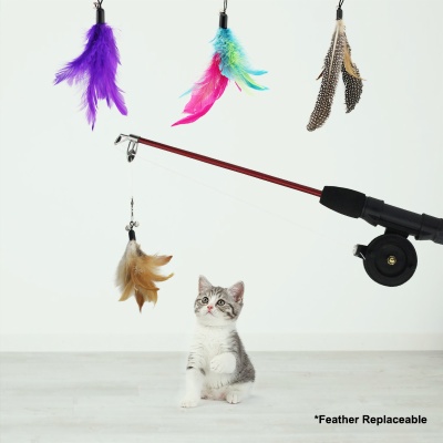 Interactive Cat feather Teaser
