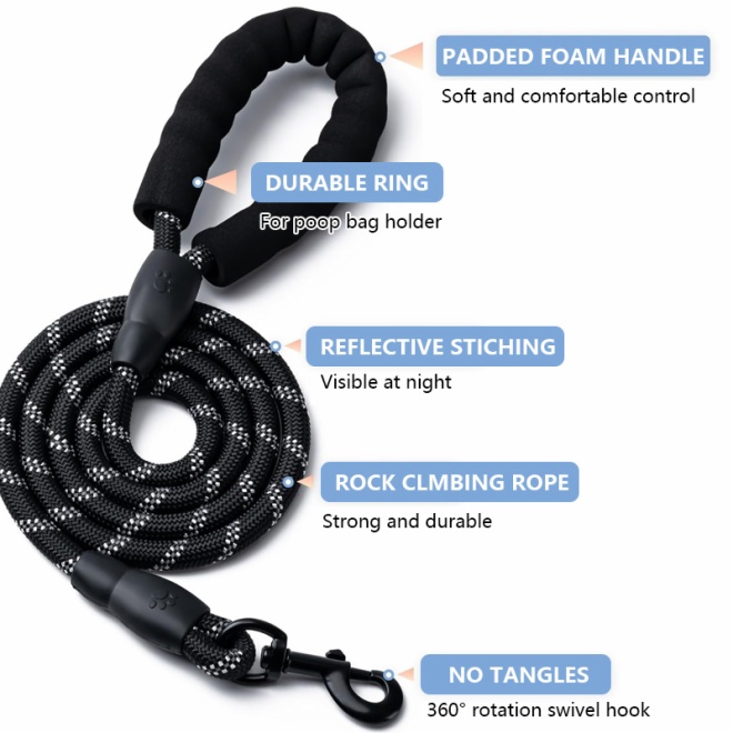 Dog Leash