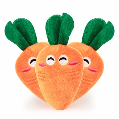 Carrot Pet Toys