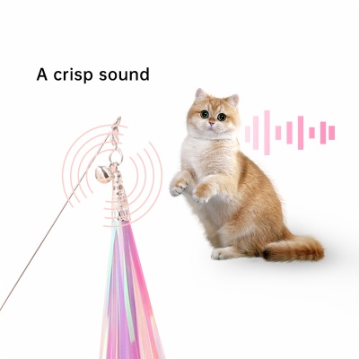 Cat teaser
