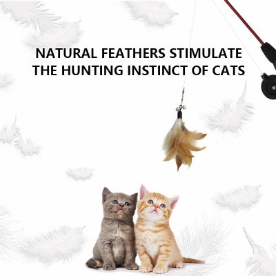 Interactive Cat feather Teaser