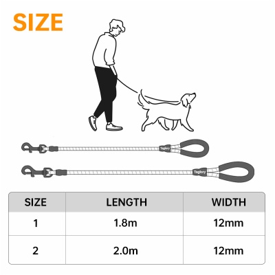 Dog Leash