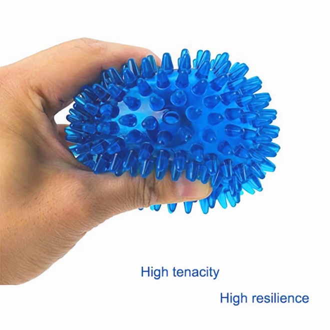 Squeaker Ball