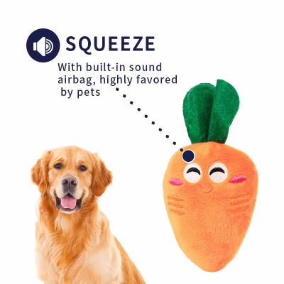 Carrot Pet Toys