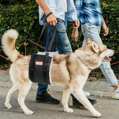 Dog Lift Harness