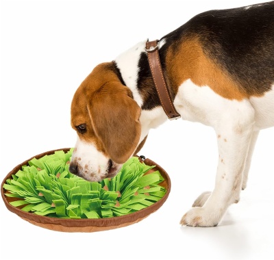 Pet Snuffle Mat