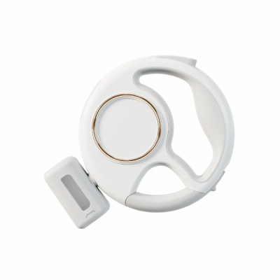 Retractable Dog Leash