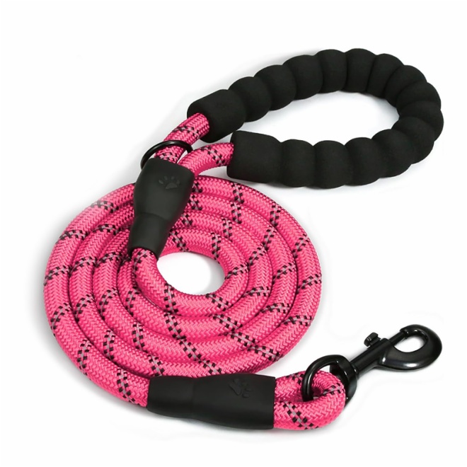Dog Leash