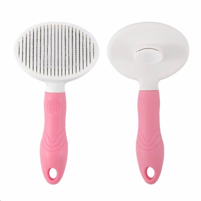 Cat Brush