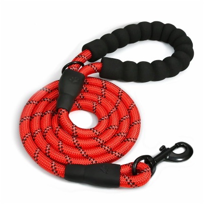 Dog Leash