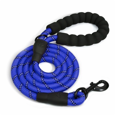 Dog Leash
