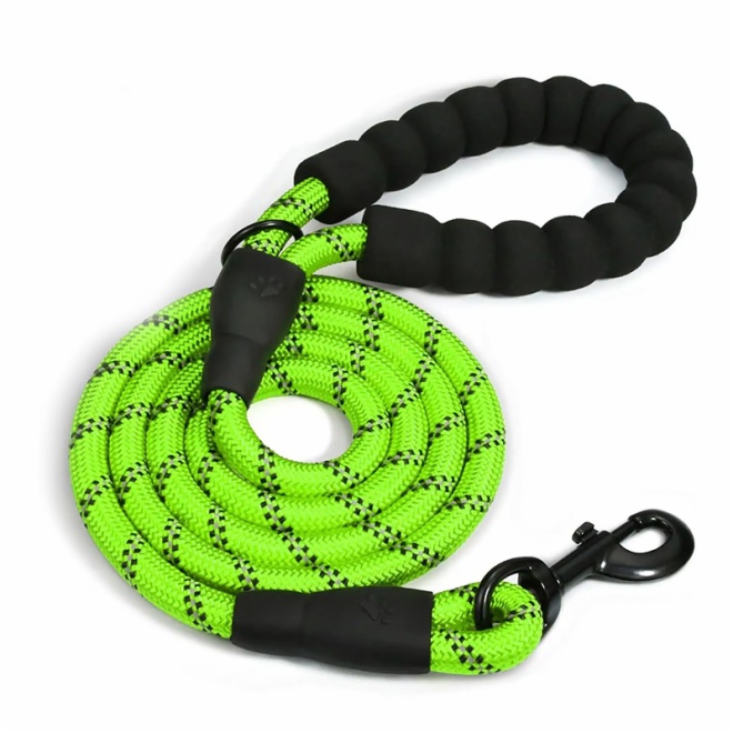 Dog Leash