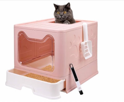 Cat little Box