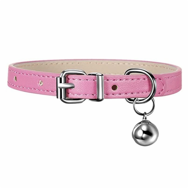 Leather Dog Collar