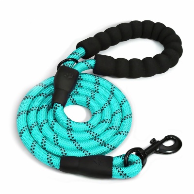 Dog Leash