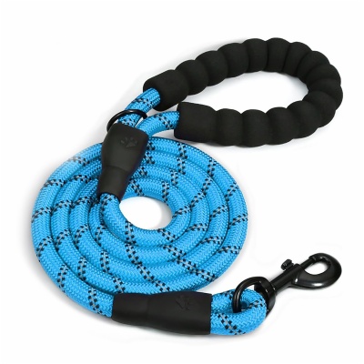 Dog Leash