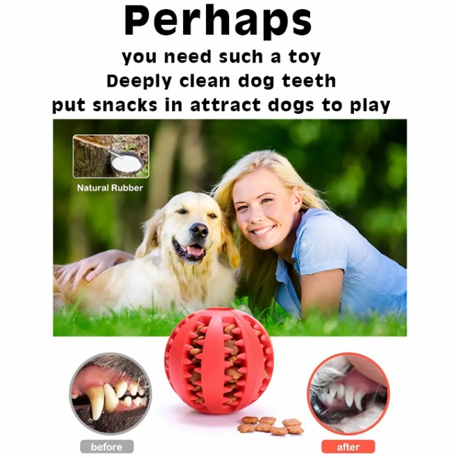 Dog chew ball