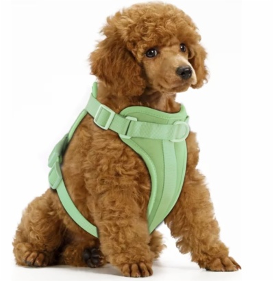 Dog Harness