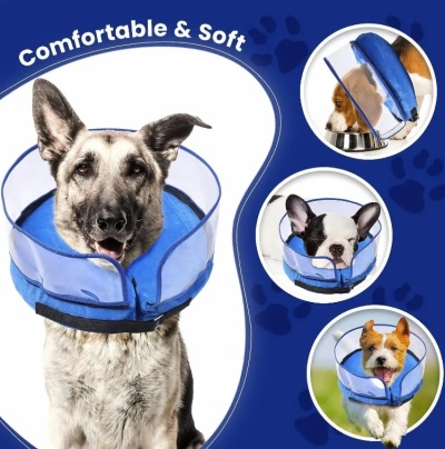 Inflatable collar