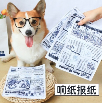 dog chewed newspaper