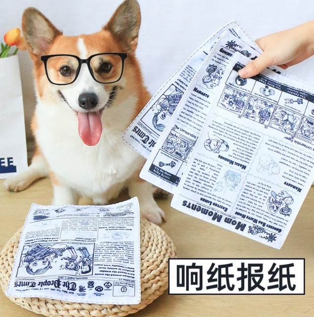 dog chewed newspaper